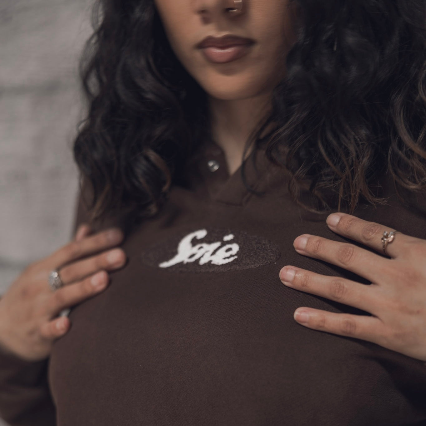Brown Chenille Satin-Lined Hoodie